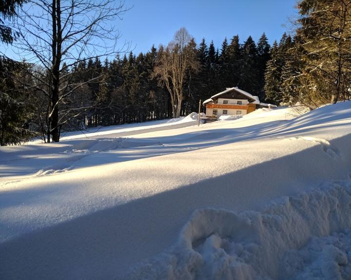 Wirtshaus Zum Waldcafe